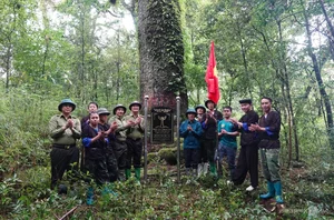 Preserving Ancient Heritage: Vietnam's Rare Fujian Cypress and Hemlock Forests Recognized - image 6