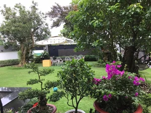 Inside Actor Quoc Truong’s Breathtaking and Flower-Filled Luxury Villa in Can Tho - image 9