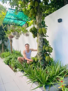 Inside Actor Quoc Truong’s Breathtaking and Flower-Filled Luxury Villa in Can Tho - image 1