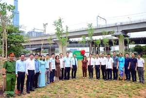 Thu Duc City Inaugurates New Park on Vo Nguyen Giap Street to Enhance Urban Greenery - image 3