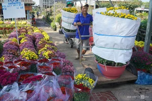 Sa Dec Flower Village: A Vibrant Pre-Tet Tourist Destination - image 3