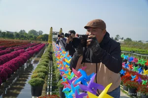 Sa Dec Flower Village: A Vibrant Pre-Tet Tourist Destination - image 4