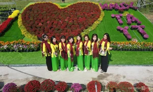 Sa Dec Flower Village: A Vibrant Pre-Tet Tourist Destination - image 6