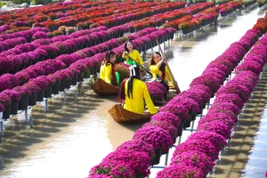 Sa Dec Flower Village: A Vibrant Pre-Tet Tourist Destination - image 8
