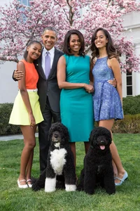 Style Evolution: The Increasingly Bold Fashion Choices of the Obama Sisters - image 11