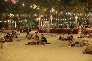 Da Nang's New Night Tourism: Elevating the Beachside Experience After Dark - image 4