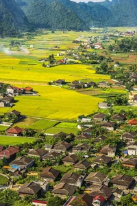 Discovering Vietnam's Award-Winning Village with 400 Traditional Stilt Houses - image 2