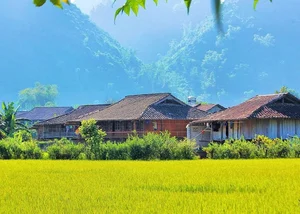 Discovering Vietnam's Award-Winning Village with 400 Traditional Stilt Houses - image 3
