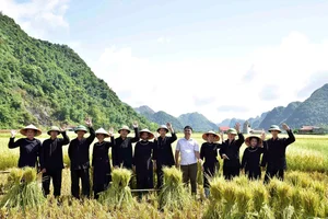 Discovering Vietnam's Award-Winning Village with 400 Traditional Stilt Houses - image 5
