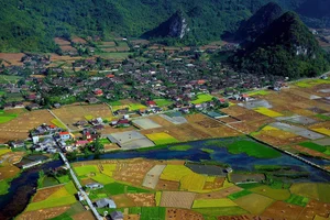 Discovering Vietnam's Award-Winning Village with 400 Traditional Stilt Houses - image 1