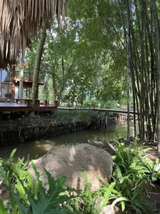 Explore Actress Van Trang's Stunning 50,000 Square Meter Eco-Resort - image 1