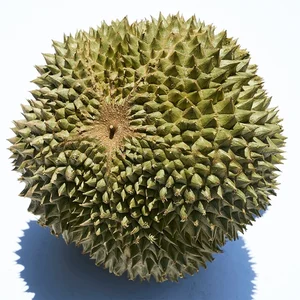 Discover the Exquisite Black Thorn Durian: A Guide to Malaysia’s Premium D200 Variety and Its Rich, Creamy Golden Flesh - image 4