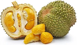 Discover the Exquisite Black Thorn Durian: A Guide to Malaysia’s Premium D200 Variety and Its Rich, Creamy Golden Flesh - image 1