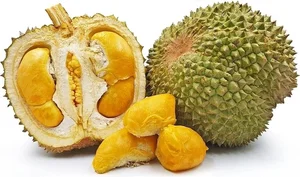 Discover the Exquisite Black Thorn Durian: A Guide to Malaysia’s Premium D200 Variety and Its Rich, Creamy Golden Flesh - image 5