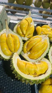 Discover the Exquisite Black Thorn Durian: A Guide to Malaysia’s Premium D200 Variety and Its Rich, Creamy Golden Flesh - image 10