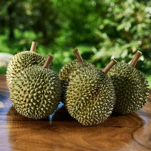 Discover the Exquisite Black Thorn Durian: A Guide to Malaysia’s Premium D200 Variety and Its Rich, Creamy Golden Flesh - image 0