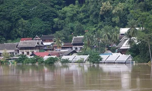 Devastating Impact of Typhoon Yagi Across Southeast Asia and China - image 2