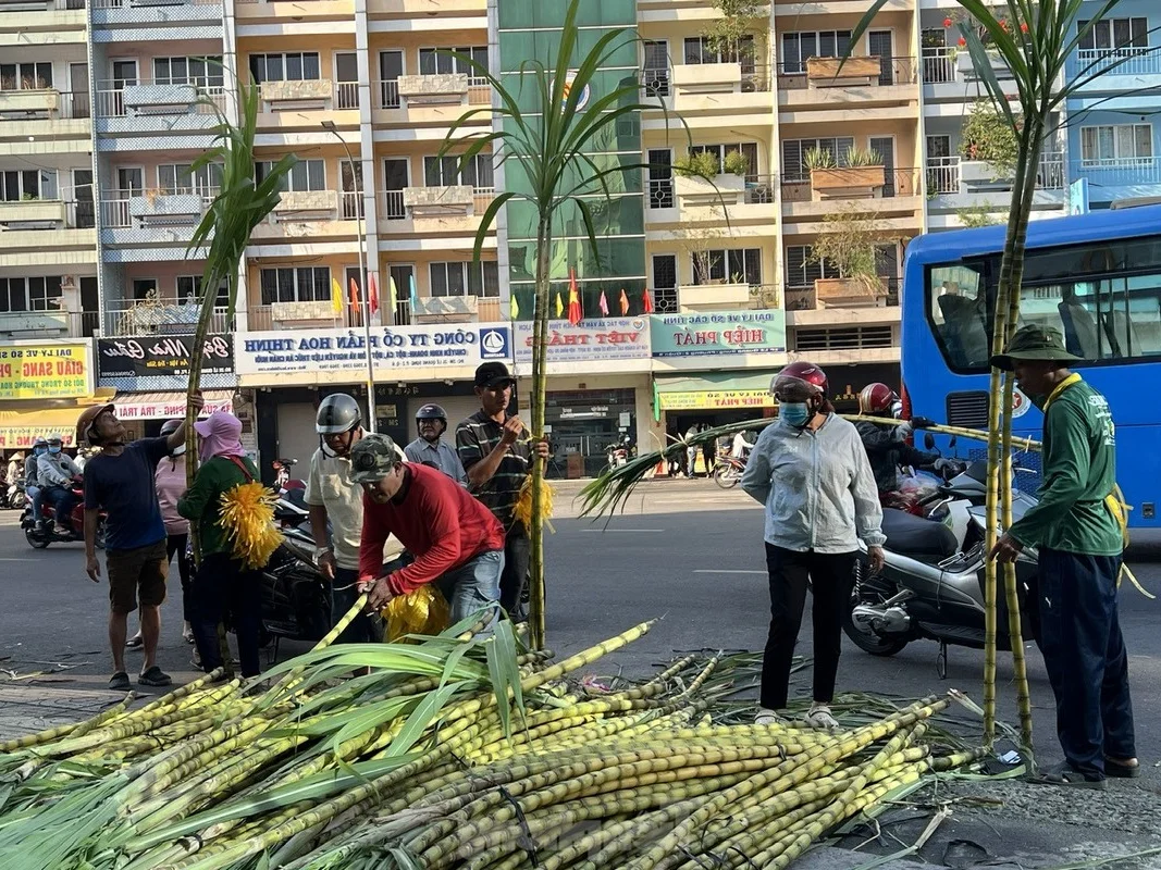 Exploring Vietnam’s Unique Annual Sugarcane Market: A Rare and Vibrant Cultural Tradition Celebrated Once a Year