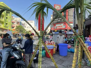 Exploring Vietnam’s Unique Annual Sugarcane Market: A Rare and Vibrant Cultural Tradition Celebrated Once a Year - image 5