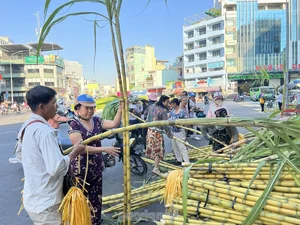 Exploring Vietnam’s Unique Annual Sugarcane Market: A Rare and Vibrant Cultural Tradition Celebrated Once a Year - image 11