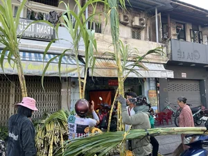 Exploring Vietnam’s Unique Annual Sugarcane Market: A Rare and Vibrant Cultural Tradition Celebrated Once a Year - image 8