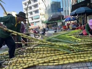 Exploring Vietnam’s Unique Annual Sugarcane Market: A Rare and Vibrant Cultural Tradition Celebrated Once a Year - image 4