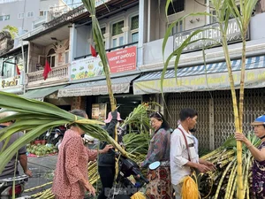 Exploring Vietnam’s Unique Annual Sugarcane Market: A Rare and Vibrant Cultural Tradition Celebrated Once a Year - image 1