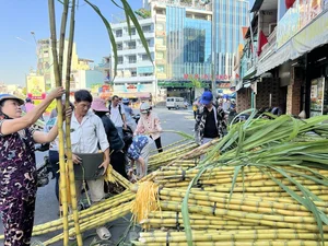 Exploring Vietnam’s Unique Annual Sugarcane Market: A Rare and Vibrant Cultural Tradition Celebrated Once a Year - image 10