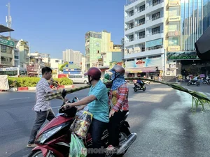 Exploring Vietnam’s Unique Annual Sugarcane Market: A Rare and Vibrant Cultural Tradition Celebrated Once a Year - image 6