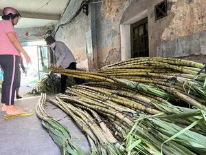Exploring Vietnam’s Unique Annual Sugarcane Market: A Rare and Vibrant Cultural Tradition Celebrated Once a Year - image 3