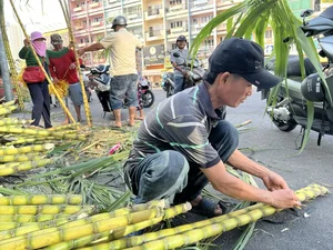 Exploring Vietnam’s Unique Annual Sugarcane Market: A Rare and Vibrant Cultural Tradition Celebrated Once a Year - image 7