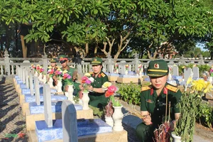 The Pink Lotuses of Quang Tri: Symbols of Resilience and Cultural Beauty - image 16