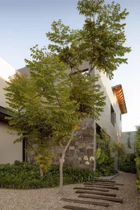 Exploring Casa Trigo: A Modern Multi-Block Villa Designed for Young Families Seeking Connection with Nature - image 11