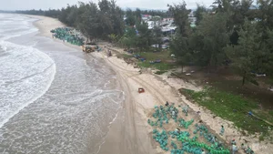 Saving Quang Ngai's Famous Beach: 21,000 Sandbags Deployed Against Coastal Erosion - image 2
