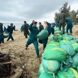 Saving Quang Ngai's Famous Beach: 21,000 Sandbags Deployed Against Coastal Erosion - image 3