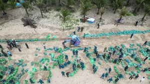 Saving Quang Ngai's Famous Beach: 21,000 Sandbags Deployed Against Coastal Erosion - image 7