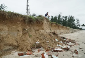 Saving Quang Ngai's Famous Beach: 21,000 Sandbags Deployed Against Coastal Erosion - image 5