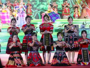 Hmong Forest Worshipping Ceremony in Na Hau Recognized as National Intangible Cultural Heritage - image 8