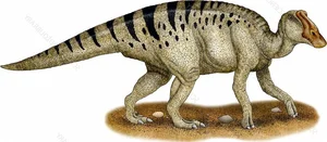 Discovering the Majestic New Duck-Billed Dinosaur from the Late Cretaceous Era - image 5