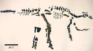 Discovering the Majestic New Duck-Billed Dinosaur from the Late Cretaceous Era - image 3
