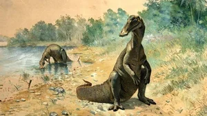 Discovering the Majestic New Duck-Billed Dinosaur from the Late Cretaceous Era - image 7