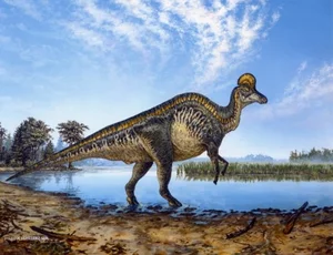 Discovering the Majestic New Duck-Billed Dinosaur from the Late Cretaceous Era - image 6
