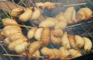 8 Must-Try Specialties in Ben Tre for Adventurous Foodies - image 5