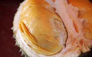 Is the Expensive Black Thorn Durian Worth the Premium Price Tag? - image 0
