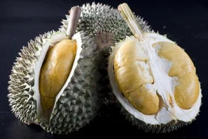 Is the Expensive Black Thorn Durian Worth the Premium Price Tag? - image 3