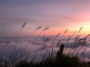 Ta Xua Cloud Hunting: An Unforgettable Experience Amidst Majestic Northwest Sea of Clouds – Discover Hidden Beauty. - image 3