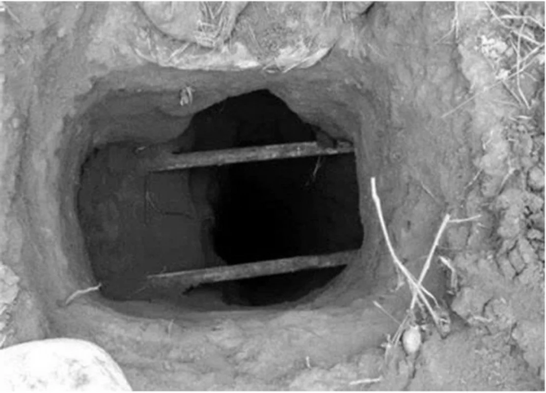 Mysterious Blue Smoke at Ancestral Tomb Prompts Experts to Block Entire Mountain