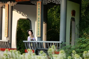 Artistic Expression in YiTuYu Art Language Vol.7391 - Bu Ke Ai De He He Miao - image 17