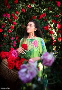 Yang Liping’s Peacock Dance Sparks Debate Over Artistic Expression and Public Decency - image 5