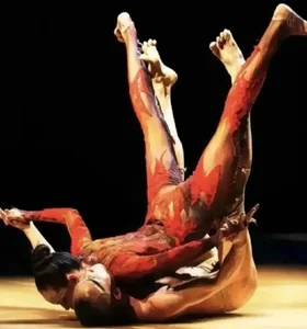 Yang Liping’s Peacock Dance Sparks Debate Over Artistic Expression and Public Decency - image 4